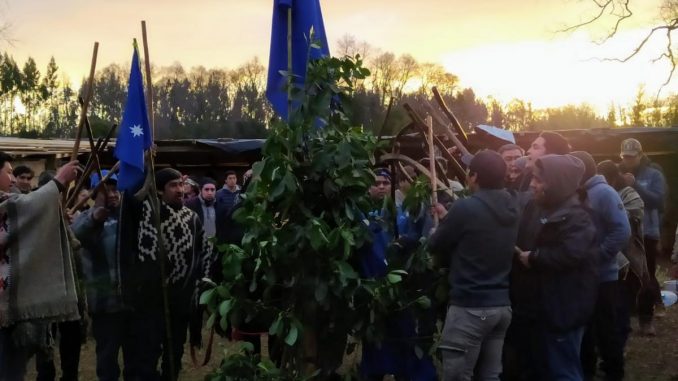 www.prensaciudadana.cl-cam-entrega-apoyo-publico-a-los-presos-politicos-mapuches-y-llama-a-acciones-de-sabotaje-cam