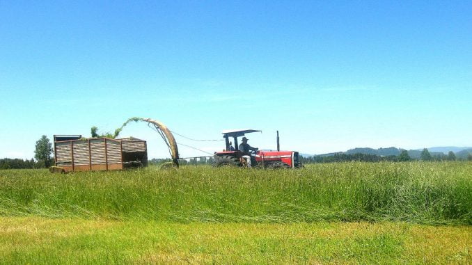 www.prensaciudadana.cl-indap-recuperara-productividad-de-mas-de-15-mil-hectareas-agricolas-en-la-araucania-suelos-2