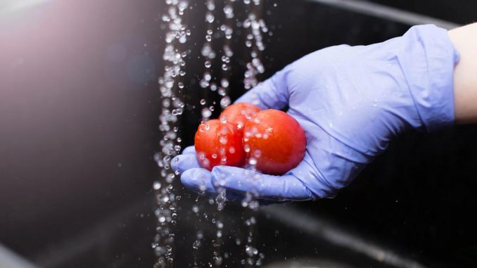 www.prensaciudadana.cl-me-cuido-te-cuido-la-campana-de-u-autonoma-para-fortalecer-los-habitos-higienicos-en-el-consumo-seguro-de-alimentos-campana-nutricion-uautonoma