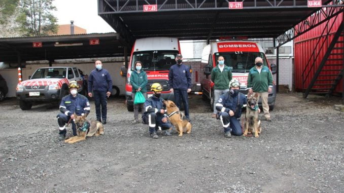 www.prensaciudadana.cl-perros-de-rescate-de-bomberos-recibiran-atencion-veterinaria-y-alimentacion-gratuita-perros