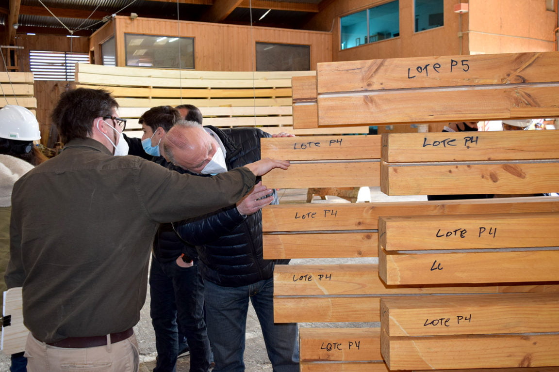 Mercado de Temuco simulará un bosque del Sur de Chile - Prensa Ciudadana