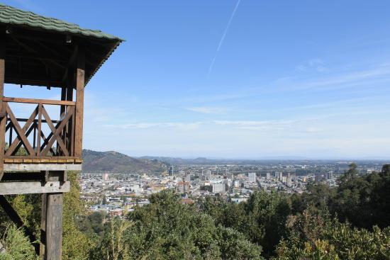 www.prensaciudadana.cl-red-de-defensa-del-cerro-nielol-de-temuco-logra-que-proyecto-de-conaf-ingrese-a-evaluacion-ambiental-monumento-natural-cerro