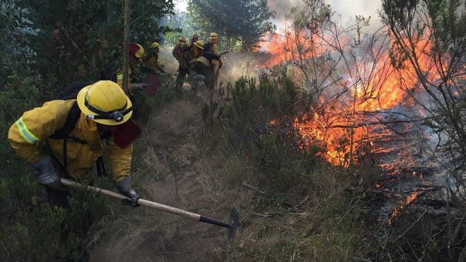 www.prensaciudadana.cl-ante-aumento-de-siniestros-sofo-llama-a-la-prevencion-de-incendios-forestales-en-esta-temporada-incendios-en-el-campo-gentileza-conaf