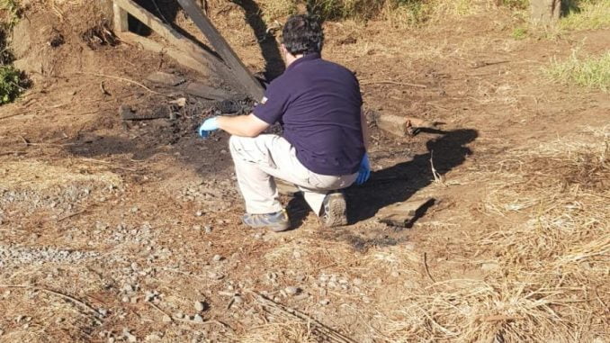www.prensaciudadana.cl-ataque-incendiario-en-victoria-deja-porton-de-ingreso-quemado-al-predio-el-manzano-4d9d662d-1a34-446f-bc2f-09b97828ee86