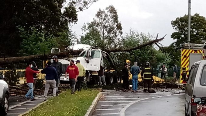 www.prensaciudadana.cl-fallecio-conductor-de-camion-en-lautaro-tras-caida-de-arbol-sobre-la-cabina-whatsapp-image-2020-12-29-at-2.22.26-pm