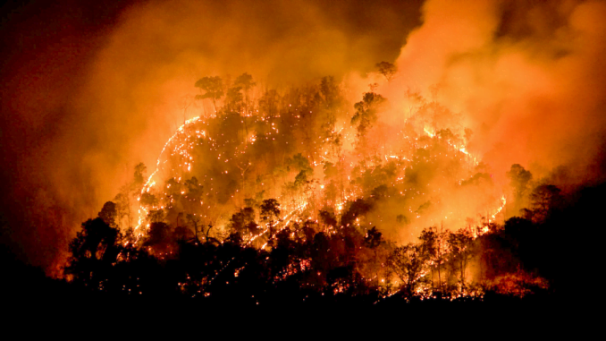 incendio forestal bellavista