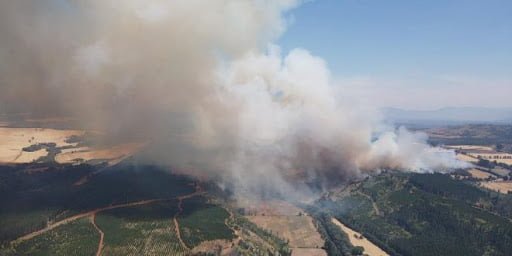 www.prensaciudadana.cl-conaf-informa-que-incendio-forestal-en-ercilla-y-collipulli-esta-en-un-50-contenido-incendio-forestal