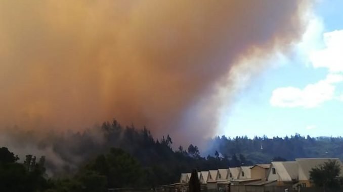 www.prensaciudadana.cl-director-de-la-conaf-informa-que-incendio-forestal-de-puren-ha-consumido-mas-de-222-hectareas-hectareas-puren