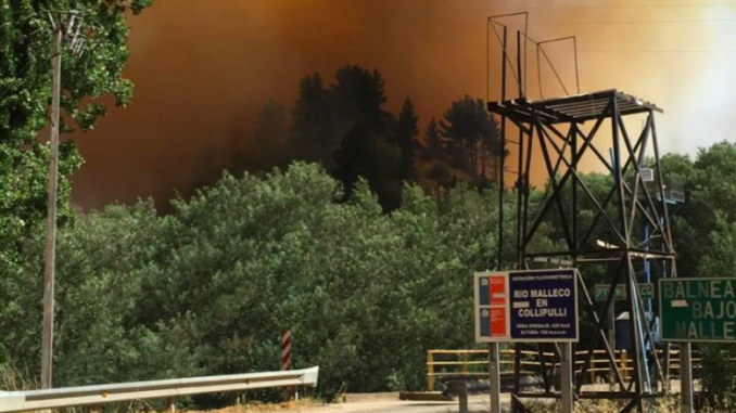 www.prensaciudadana.cl-evacuan-familias-en-collipulli-por-incendio-forestal-incendio