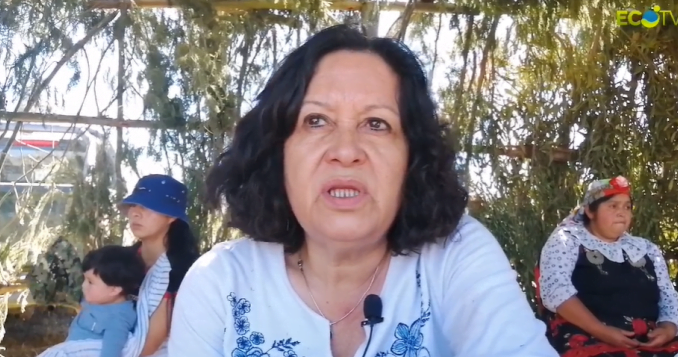 www.prensaciudadana.cl-madre-del-pdi-asesinado-tras-reunion-en-temucuicui-somos-victimas-de-un-sistema-carmen-gloria