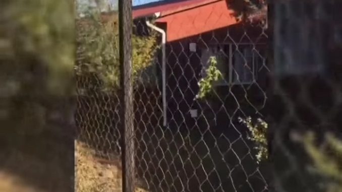www.prensaciudadana.cl-solicitan-intervencion-del-sename-tras-video-denuncia-por-actos-sexuales-en-aldea-sos-de-padre-las-casas-denuncian-acto-sexual