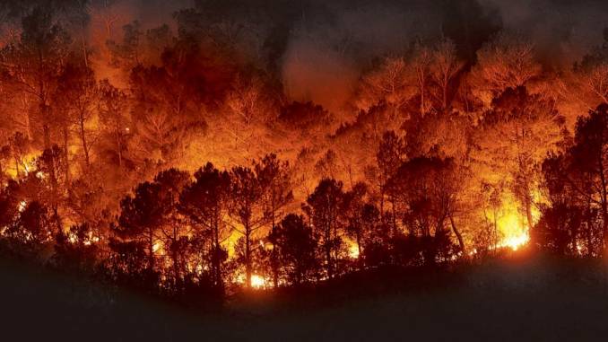 Incendio-forestal-1024x576