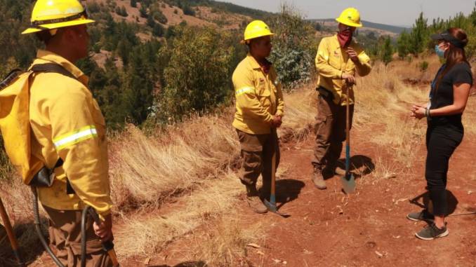 dia-del-brigadista-forestal-gobernadora-marchant-destaca-su-abnegada-labor-y-reconoce-gran-valentia-y-espiritu-de-servicio-whatsapp-image-2021-02-15-at-8.28.02-am
