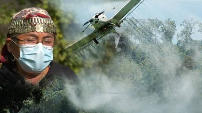 comunidad-mapuche-de-puerto-saavedra-presento-recurso-de-proteccion-contra-responsables-de-fumigacion-fumigacion2