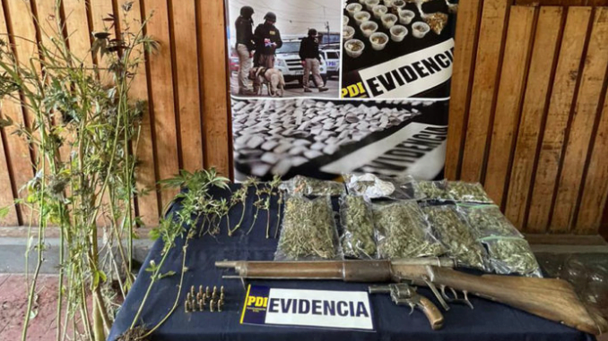 equipo-mt-0-temuco-saca-de-circulacion-659-dosis-de-marihuana-en-cherquenco-screen-shot-2021-05-08-at-08.45.28