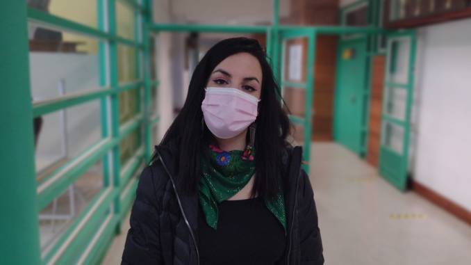 manuela-royo-la-defensora-del-agua-y-el-pueblo-mapuche-abogada-royo1-1