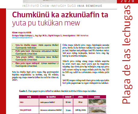 FICHA EN MAPUDUNGUN