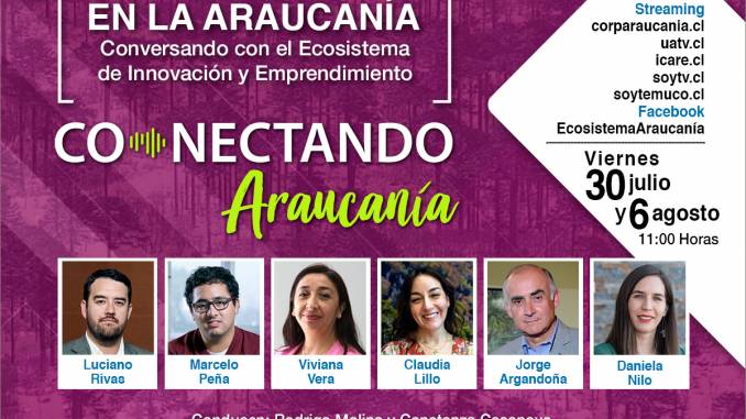 Conectando-Araucanía