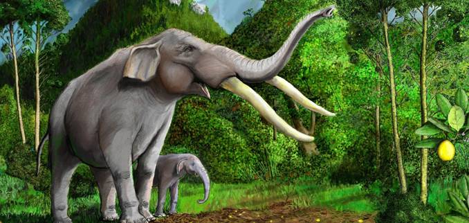 megafauna-en-la-araucania-tras-las-huellas-el-gonfoterio-gonfoterio1