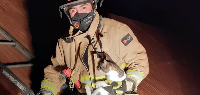 bombero-chico-bueno-setima-compania-de-bomberos-de-temuco-rescato-a-gato-en-peligro-gatotechumbre