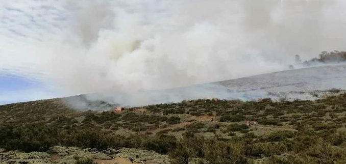 complejo-incendio-se-desato-en-lonquimay-incendio-lonquimay