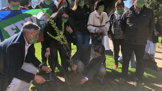con-la-plantacion-de-un-arrayan-la-federacion-regionalista-verde-frevs-presento-sus-pre-candidaturas-a-diputadas-y-consejeras-regionales-frevs