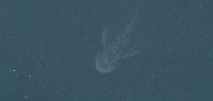 el-monstruo-del-lago-colico-la-criatura-misteriosa-que-nada-en-nuestra-region-monstruocolico