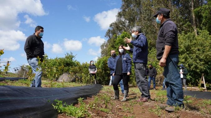 INDAP-Promueve-Diversificación-Productiva-Pequeños-Agricultores-LaAraucanía-1