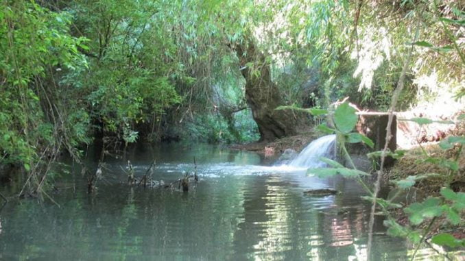 empeora-situacion-sanitaria-en-perquenco-debido-a-la-falta-de-tratamiento-de-aguas-servidas-aguas-servidas-perquenco