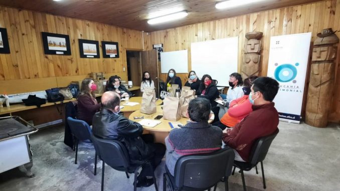 proyecto-araucania-patrimonial-un-ejemplo-de-instancia-participativa-ciudadana-grupo-focal