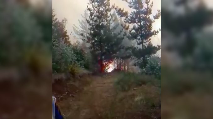ataque-incendiario-en-la-macrozona-sur-deja-un-tragico-balance-incendio-contulmo