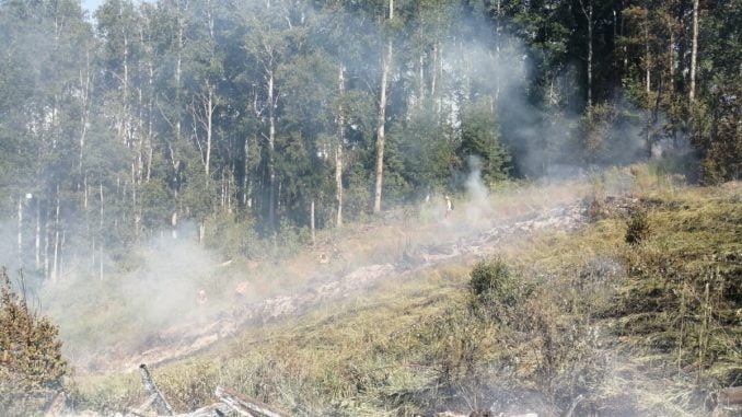 china-muerta-en-melipeuco-sigue-en-alerta-roja-por-incendios-forestales-incendios