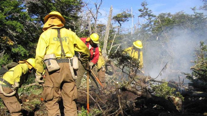 continua-ola-de-incendios-forestales-en-la-region-de-la-araucania-conaf-incendio-2