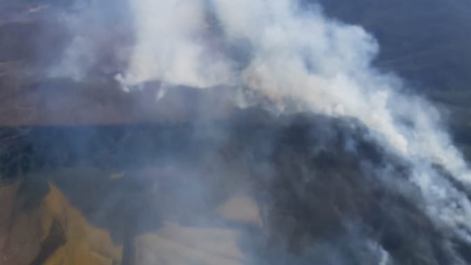incendio-forestal-obliga-evacuacion-inmediata-en-los-sauces-y-angol-super-incendio