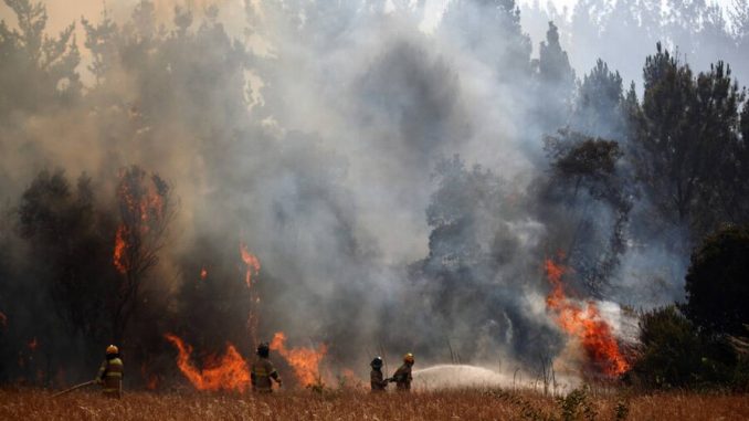 Suben a 2.100 las hectáreas afectadas por incendio forestal en Quillón