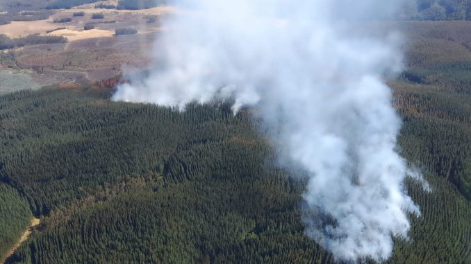 tragedia-forestal-de-los-sauces-lleva-mas-de-12-mil-hectareas-consumidas-por-las-llamas-los-sauces-2