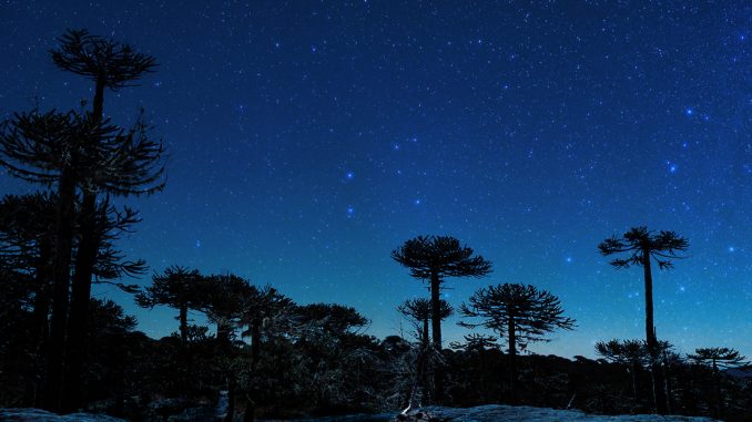 astroturismo-en-la-araucania-nahuelbuta