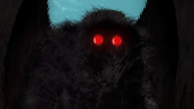 las-apariciones-del-tenebroso-hombre-polilla-de-tolten-mothman