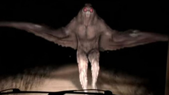 presencia-del-hombre-polilla-en-tolten-desata-el-misterio-sera-un-mal-presagio-polilla2