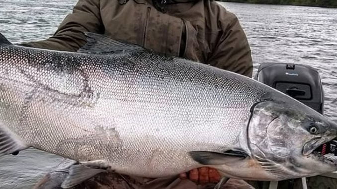 verano-en-la-araucania-disfrute-de-las-bondades-de-la-pesca-recreativa-chinook