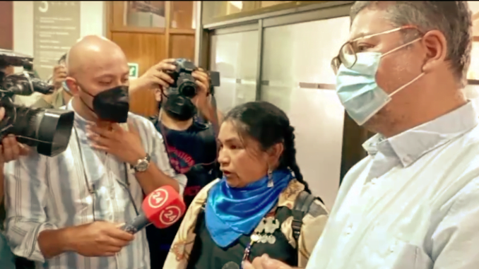 comunidades-mapuche-marchan-por-oficializacion-y-reivindicacion-del-mapuzungun-en-la-region-screen-shot-2022-02-18-at-18.36.20