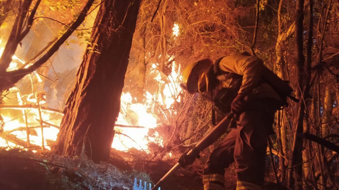 incendios-forestales-en-la-araucania-alerta-roja-para-galvarino-cholchol-y-traiguen-incendio-plc1