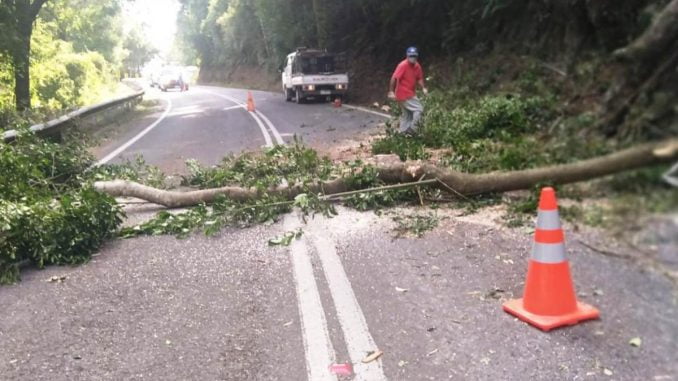 municipalidad-de-villarrica-llama-a-la-comunidad-a-extremar-medidas-de-prevencion-por-fuertes-vientos-1