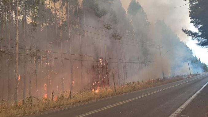 se-decreta-acuartelamiento-general-de-bomberos-de-temuco-ante-preocupante-situacion-por-incendios-forestales-en-la-region-huichahue