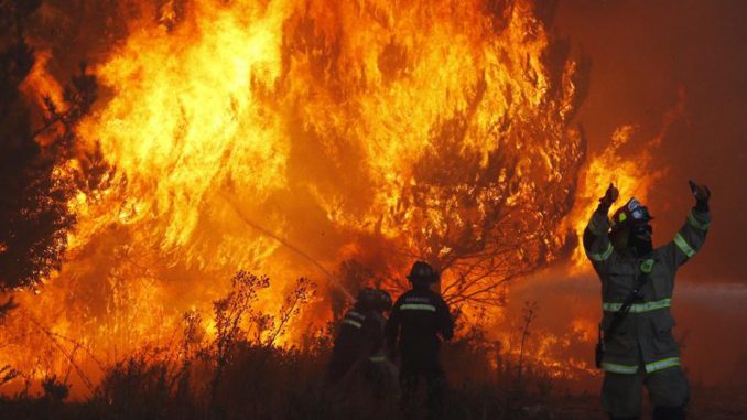 ya-van-41-mil-hectareas-afectadas-por-incendios-forestales-en-la-araucania-araucania-incendios