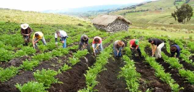 agricultores635