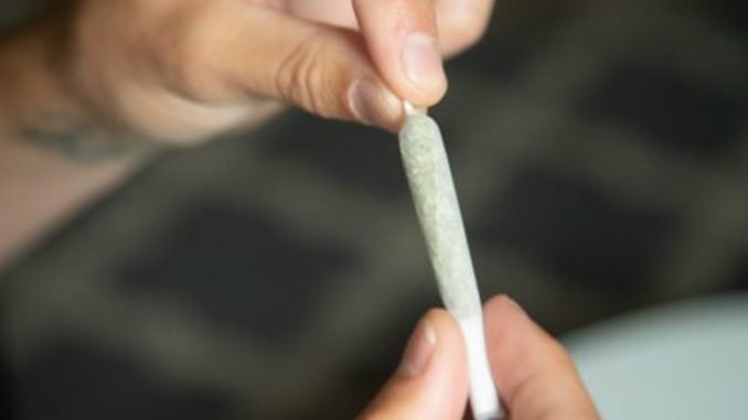 fiscalia-de-alta-complejidad-logra-condena-por-robo-con-homicidio-cultivo-y-trafico-de-drogas-en-ercilla-pito