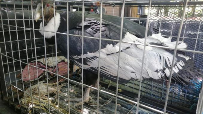 IMG-20220318-WA0037