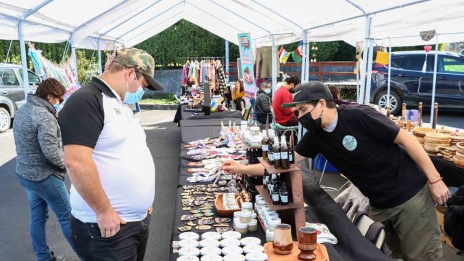 Municipalidad de Villarrica invita a conocer nueva feria (5)