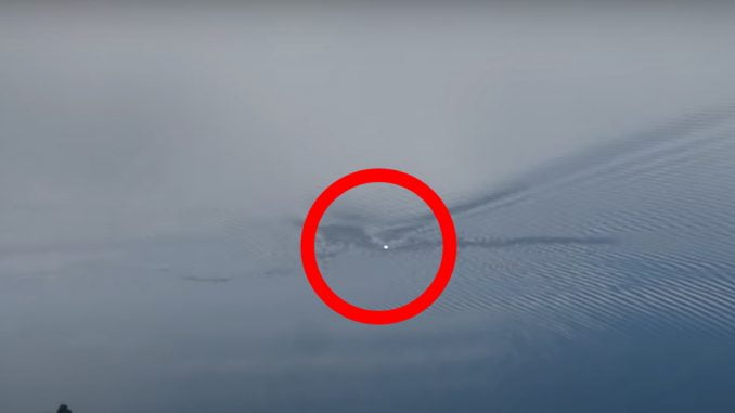 turistas-graban-un-supuesto-cuero-vivo-en-lago-villarrica-el-cuero-vivo